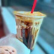 ヒメ日記 2026/03/30 20:13 投稿 はるか いわき小名浜ちゃんこ