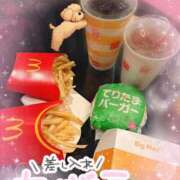 ヒメ日記 2026/04/01 18:53 投稿 はるか いわき小名浜ちゃんこ