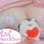 ヒメ日記 2026/04/02 20:13 投稿 はるか いわき小名浜ちゃんこ