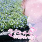 ヒメ日記 2026/04/12 13:23 投稿 はるか いわき小名浜ちゃんこ