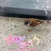 ヒメ日記 2026/06/06 17:53 投稿 はるか いわき小名浜ちゃんこ