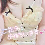 ヒメ日記 2026/06/19 13:33 投稿 はるか いわき小名浜ちゃんこ