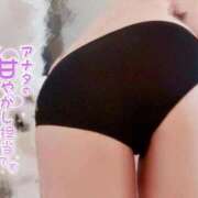 ヒメ日記 2026/07/15 13:13 投稿 はるか いわき小名浜ちゃんこ