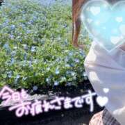 ヒメ日記 2026/07/16 21:33 投稿 はるか いわき小名浜ちゃんこ