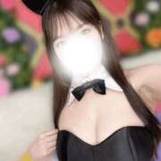 ヒメ日記 2025/09/26 22:48 投稿 ねね JAPAN CLUB BUNNY LOUNGE