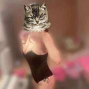 ヒメ日記 2025/12/02 17:50 投稿 ねね JAPAN CLUB BUNNY LOUNGE