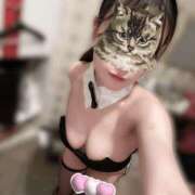 ヒメ日記 2025/12/11 13:54 投稿 ねね JAPAN CLUB BUNNY LOUNGE