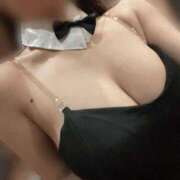 ヒメ日記 2026/03/08 17:24 投稿 ねね JAPAN CLUB BUNNY LOUNGE