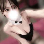 ヒメ日記 2026/03/18 19:56 投稿 ねね JAPAN CLUB BUNNY LOUNGE