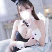 ヒメ日記 2026/04/02 11:12 投稿 ねね JAPAN CLUB BUNNY LOUNGE