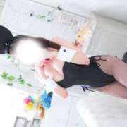 ヒメ日記 2026/04/05 16:59 投稿 ねね JAPAN CLUB BUNNY LOUNGE