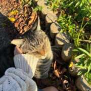 ヒメ日記 2025/06/13 18:50 投稿 ゆき ピーチガール