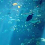 ヒメ日記 2025/07/02 19:34 投稿 ゆき ピーチガール