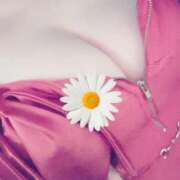 はるか 出勤しました💚 アレグリア