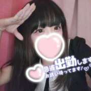 ヒメ日記 2025/06/30 17:58 投稿 涼雪あいら 奴隷志願！変態調教飼育クラブ梅田店