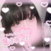 ヒメ日記 2025/07/04 14:51 投稿 涼雪あいら 奴隷志願！変態調教飼育クラブ梅田店