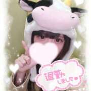 ヒメ日記 2025/09/03 02:41 投稿 涼雪あいら 奴隷志願！変態調教飼育クラブ梅田店