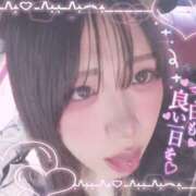 ヒメ日記 2026/01/24 11:44 投稿 涼雪あいら 奴隷志願！変態調教飼育クラブ梅田店