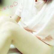佐藤 まともです ANECOTE