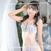 ヒメ日記 2025/07/08 10:01 投稿 めい 秘書室(吉原)