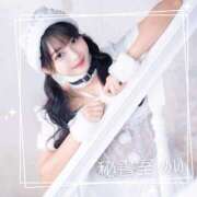 ヒメ日記 2025/11/07 11:23 投稿 めい 秘書室(吉原)