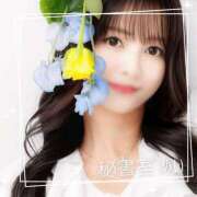 ヒメ日記 2025/12/28 09:53 投稿 めい 秘書室(吉原)