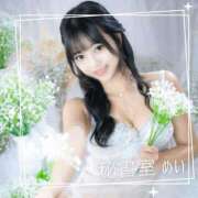 ヒメ日記 2026/03/12 09:59 投稿 めい 秘書室(吉原)