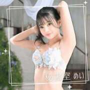 ヒメ日記 2026/04/12 08:01 投稿 めい 秘書室(吉原)