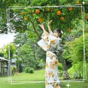 ヒメ日記 2026/07/04 12:06 投稿 めい 秘書室(吉原)