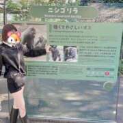 ヒメ日記 2025/06/06 17:02 投稿 美郁/みく ANEJE～アネージュ池袋～(ユメオト)