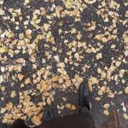 ヒメ日記 2025/10/23 18:01 投稿 美郁/みく ANEJE～アネージュ池袋～(ユメオト)