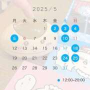 ヒメ日記 2025/05/24 17:25 投稿 めい C.C.CATS