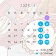ヒメ日記 2025/05/27 21:24 投稿 めい C.C.CATS