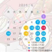 ヒメ日記 2025/06/09 12:21 投稿 めい C.C.CATS