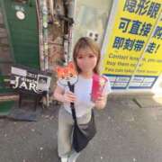 ヒメ日記 2025/06/21 12:22 投稿 めい C.C.CATS