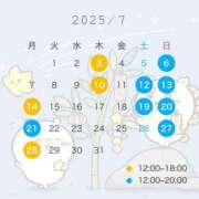 ヒメ日記 2025/07/02 19:42 投稿 めい C.C.CATS