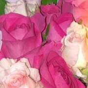 ヒメ日記 2025/06/07 10:04 投稿 めめ One More 奥様　錦糸町店