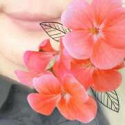 ヒメ日記 2025/05/04 00:31 投稿 水沢あい 五十路マダムセレブリティ横浜店（カサブランカグループ）