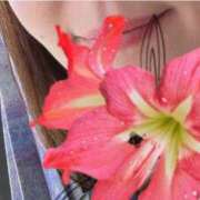 ヒメ日記 2025/05/15 11:21 投稿 水沢あい 五十路マダムセレブリティ横浜店（カサブランカグループ）