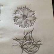 ヒメ日記 2025/06/08 15:34 投稿 ほまれ☆ 豊橋豊川ちゃんこ