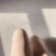 ヒメ日記 2025/06/19 06:12 投稿 ほまれ☆ 豊橋豊川ちゃんこ