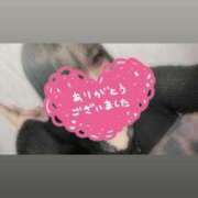 ヒメ日記 2025/08/10 14:35 投稿 ほまれ☆ 豊橋豊川ちゃんこ