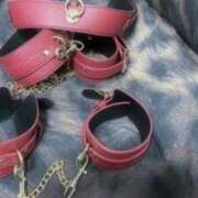 ヒメ日記 2025/09/11 21:38 投稿 ほまれ☆ 豊橋豊川ちゃんこ