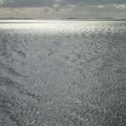 ヒメ日記 2025/12/15 12:44 投稿 ほまれ☆ 豊橋豊川ちゃんこ