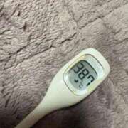 ヒメ日記 2026/04/01 14:41 投稿 ほまれ☆ 豊橋豊川ちゃんこ