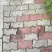 ヒメ日記 2025/05/04 06:33 投稿 りか チューリップ土浦店