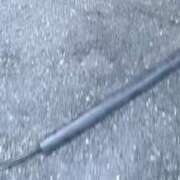 ヒメ日記 2025/05/07 06:28 投稿 りか チューリップ土浦店