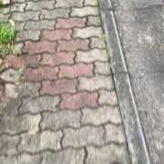 ヒメ日記 2025/05/08 06:28 投稿 りか チューリップ土浦店