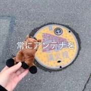 ヒメ日記 2025/10/22 06:18 投稿 りか チューリップ土浦店