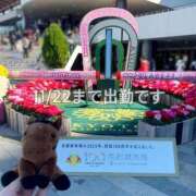 ヒメ日記 2025/11/18 06:28 投稿 りか チューリップ土浦店